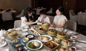 XFH-Dimsum